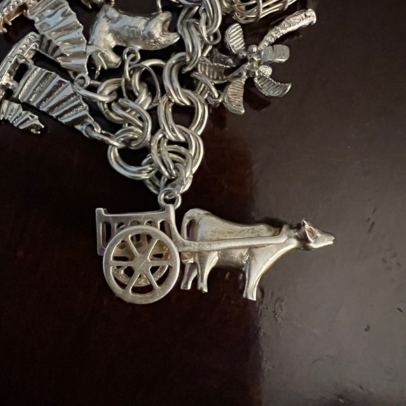 South Asian-Inspired Silver Charm Bracelet – 16 Charms - Picture 4 of 16